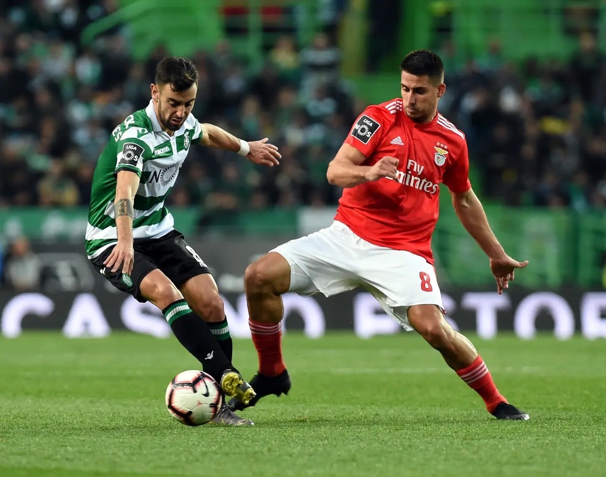 九游娱乐包含葡萄牙体育迎德国杯关键赛，赛前遗憾出局，气氛紧张，资深球员宣示担当的词条